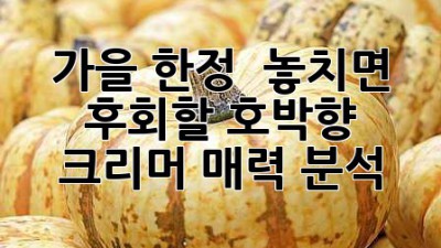 가을 한정! 🍁 놓치면 후회할 호박향 크리머🍯 매력 분석
