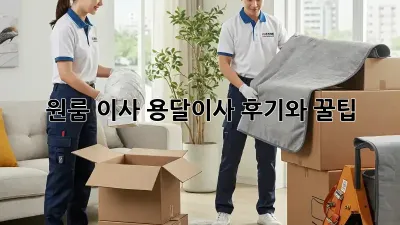 원룸 이사? 용달이사 후기와 꿀팁!