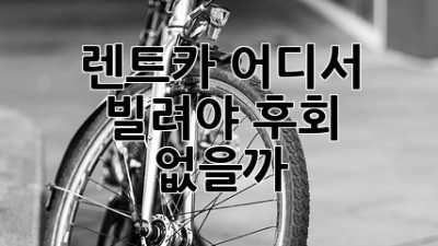 🚗 렌트카, 어디서 빌려야 후회 없을까? # 😎